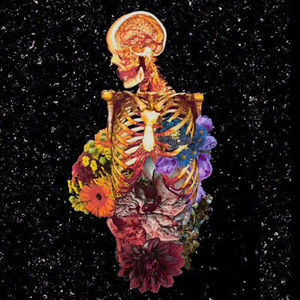 Meet your Posher, Dylan